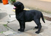 /album/fotogaleria/a100-0842-800x450-jpg/